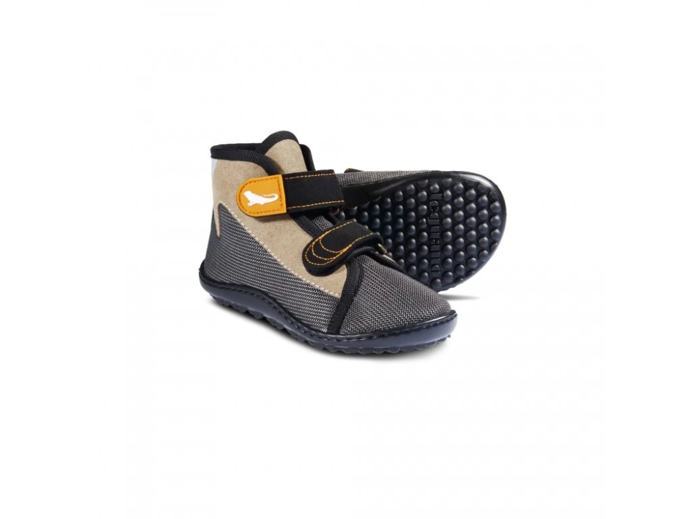 Leguanito Scippo Forester_8